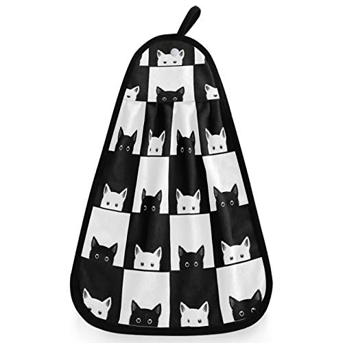 Funny Cat