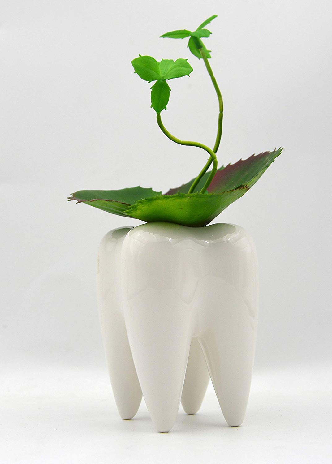 Ceramic Toothbrush Holder - Stylish Desk Organizer for Office & School | Pencil & Brush Storage Container | Decorative Succulent Plant Pot | Perfect Gift Idea for Home & Workspace Organization