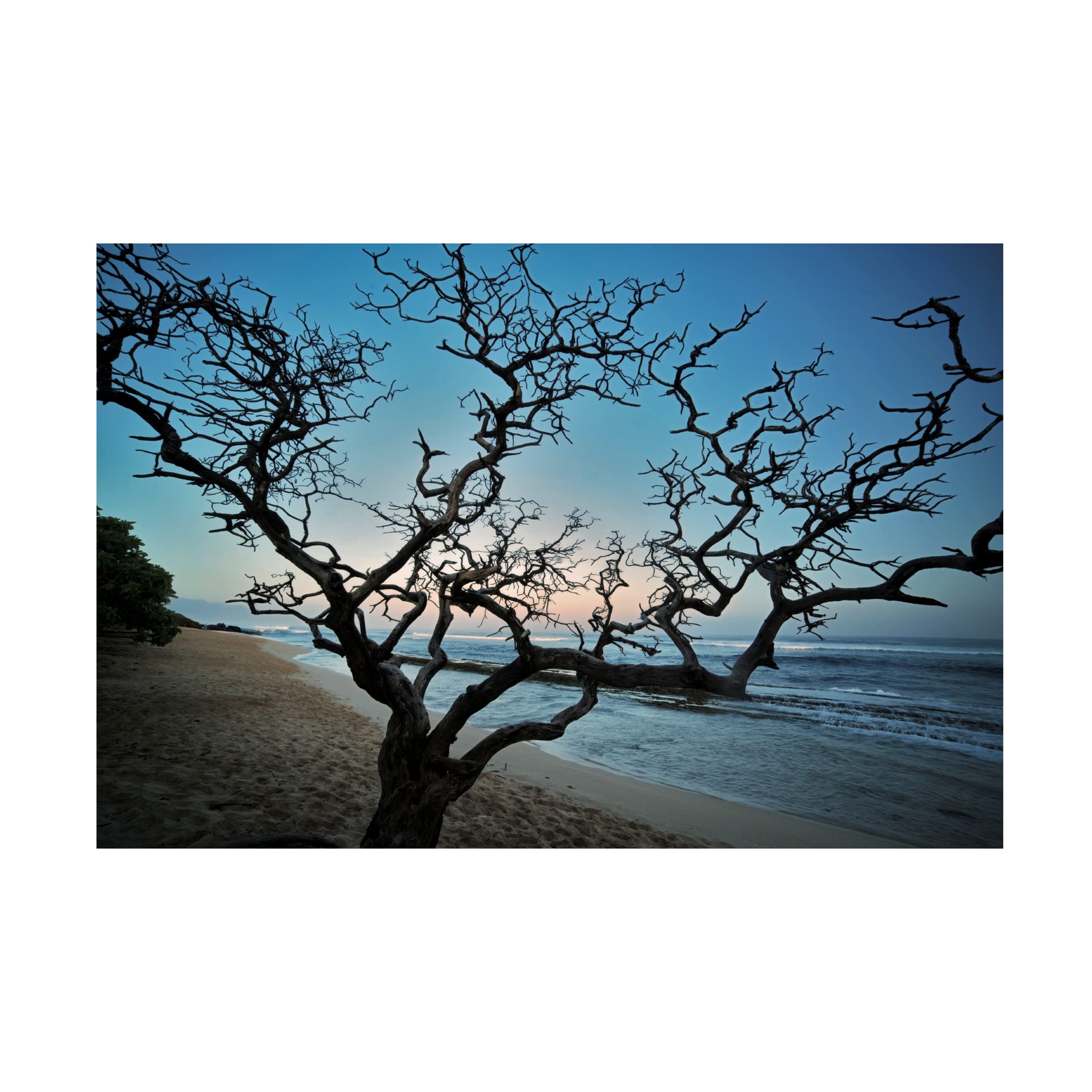 Dennis Frates 'Silhouetted' Canvas Art Print - Premium Trademark Fine Art for Home & Office Decor | Perfect for Living Room, Bedroom, or Office Wall