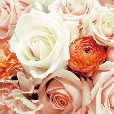 Anabel Floral Lunch Napkins - 20 Pack | Premium Paper Napkins for Parties, Picnics & Everyday Dining | Elegant Floral Design