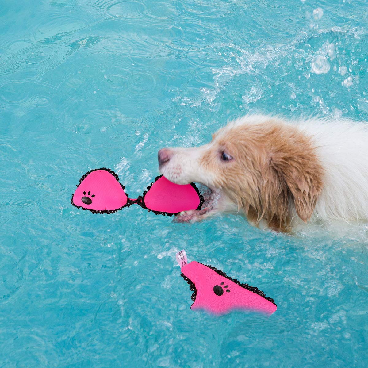 2pcs Dog Bikini Plush Toy with Squeaker & Crinkle Sound - Interactive Pet Chew Toy for Puppy Teething, Training & Play - Fun Dog & Cat Toys for Indoor/Outdoor Playtime & Bonding