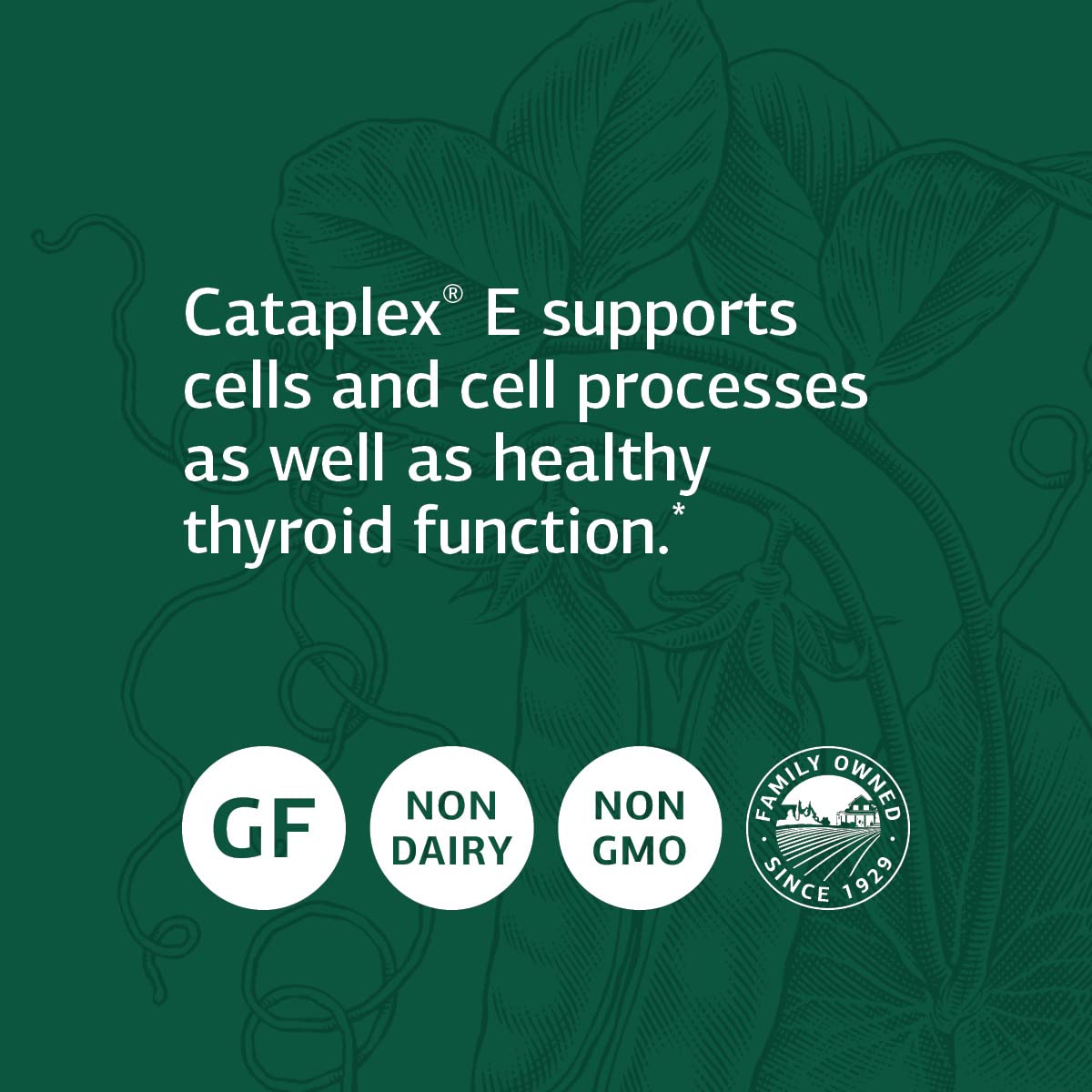 Standard Process Cataplex E - Whole Food RNA Supplement with Vitamin E, Beet Root, Ascorbic Acid & Antioxidants - 360 Tablets for Immune Support & Cellular Health - Perfect for Daily Wellness & Active Lifestyles