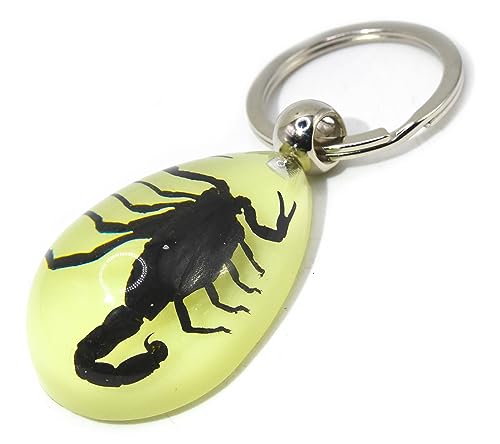 Black Scorpion