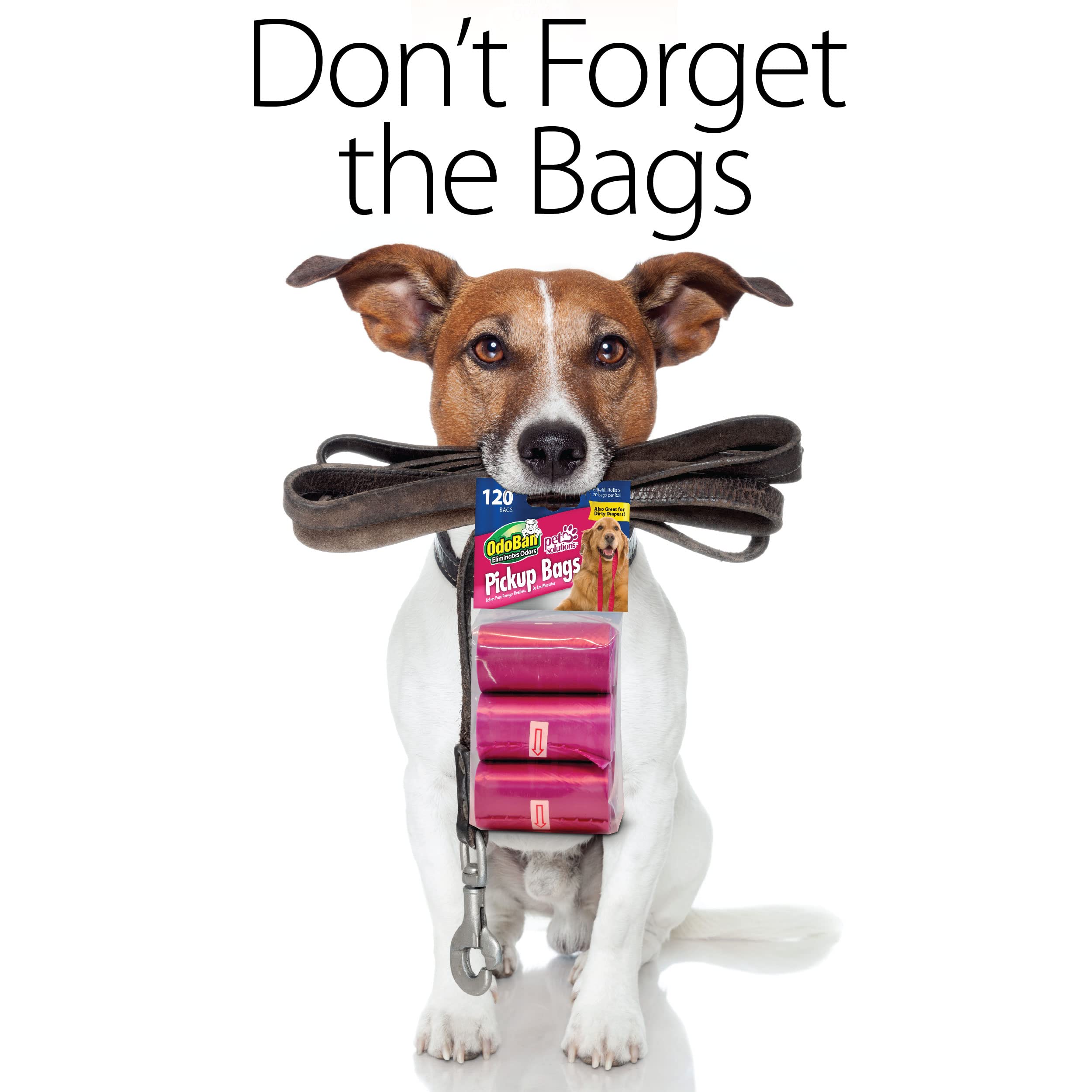 OdoBan Pet Solutions Oxy Stain Remover Spray (32 oz, 2-Pack) & Dog Waste Pickup Bags (240 Count) – Odor Eliminator & Cleanup for Pets – Perfect for Home, Yard & Travel Use