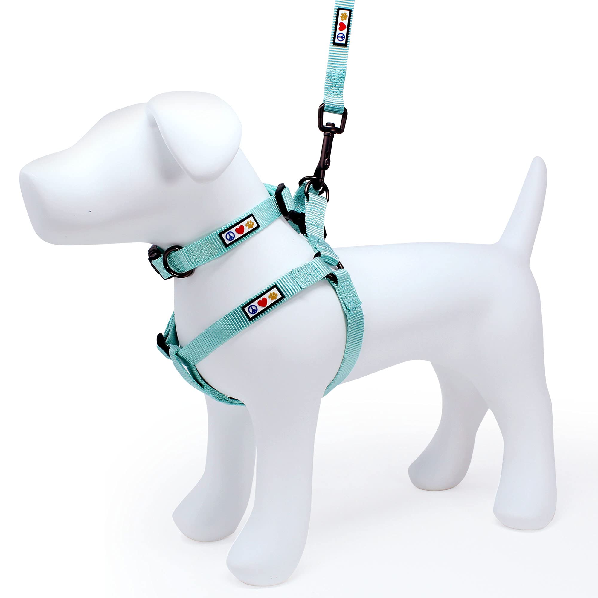 **Pawtitas Small Dog Harness, Collar & Leash Set - Teal | Adjustable Step-in Harness, Soft Nylon Collar & 6ft Leash for Small Dogs | Perfect for Walking, Training & Outdoor Adventures**