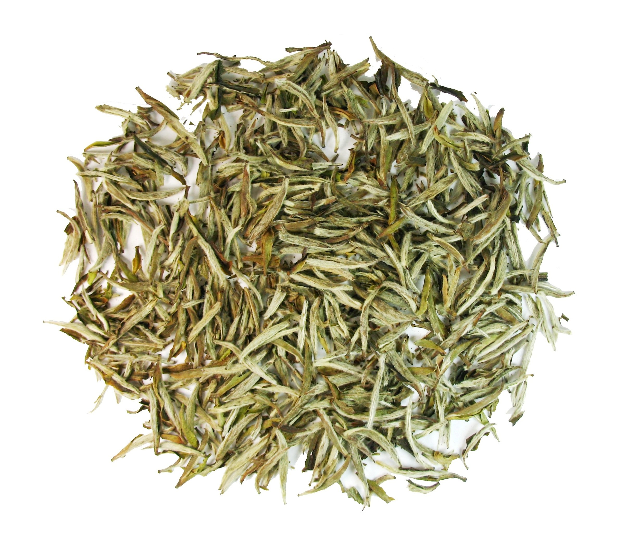 Premium Organic Silver Needle White Tea - Natural Loose Leaf Bai Hao Yinzhen - 8oz (227g) - Floral & Sweet Flavor - Perfect for Relaxation, Meditation & Afternoon Tea Time