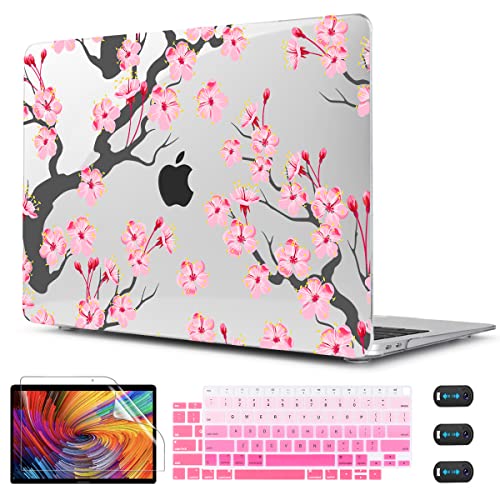 Cherry blossoms