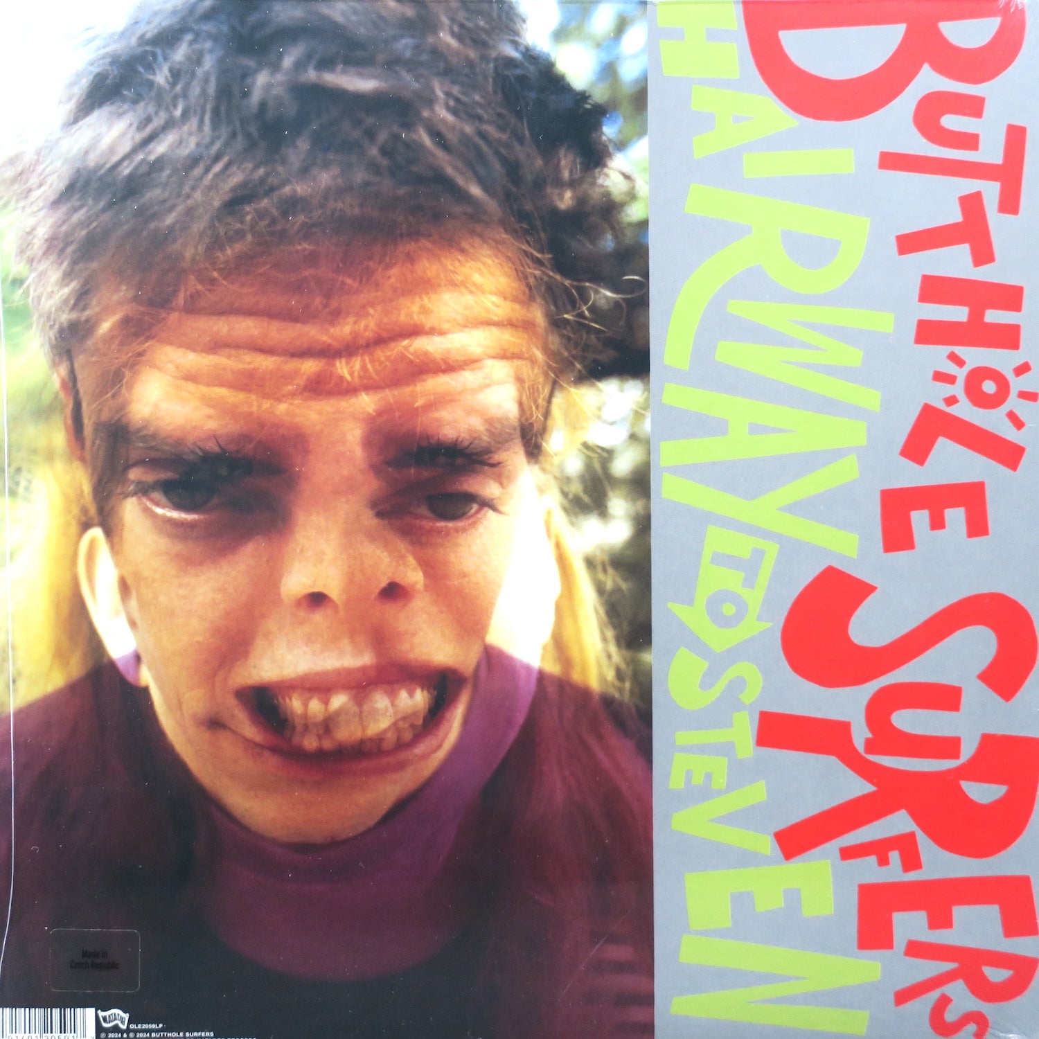 Butthole Surfers 'Hairway To Steven' Remastered Vinyl LP Record | Limited Edition Alternative Rock Music | Perfect for Collectors & Vinyl Enthusiasts