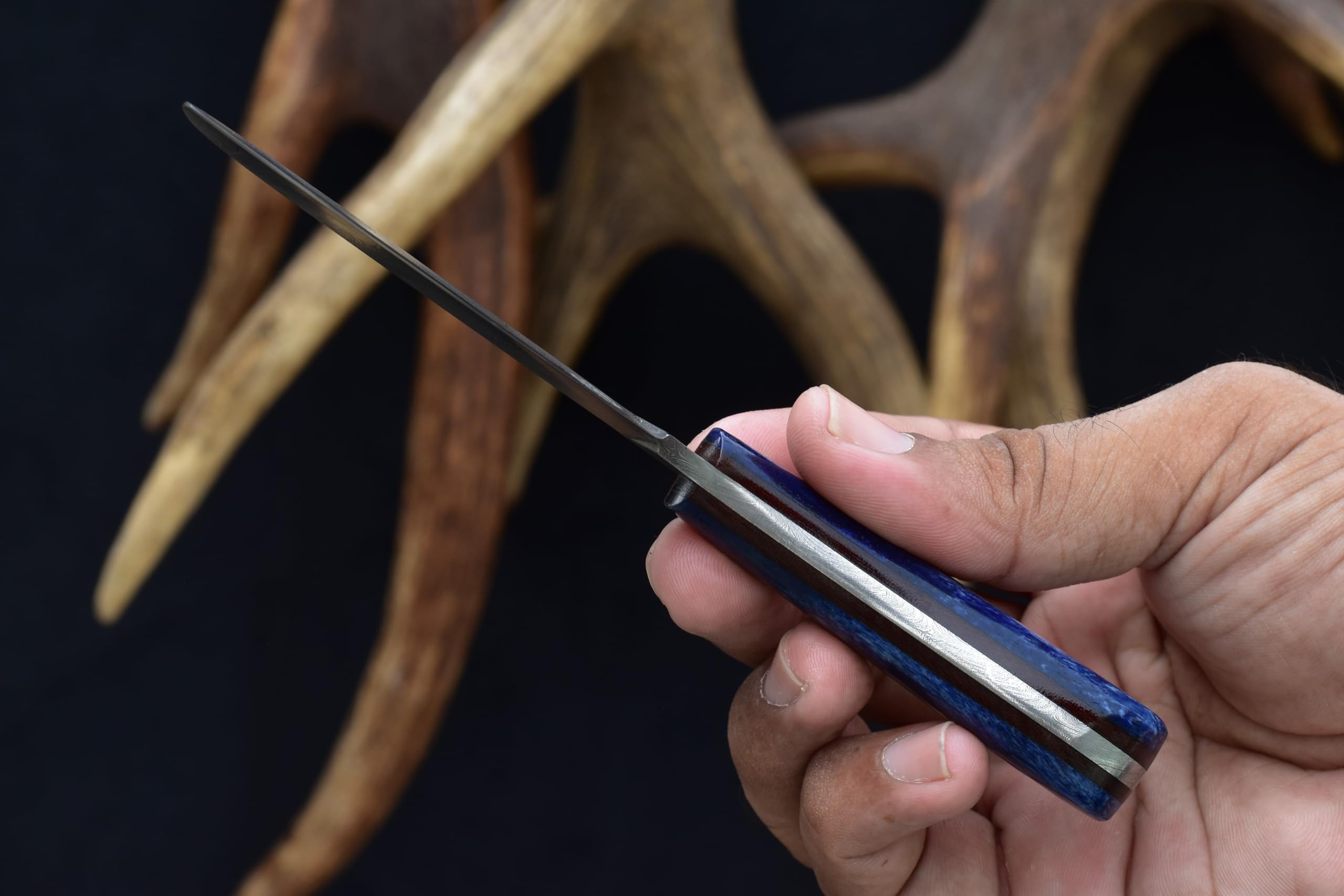 Premium Damascus Steel Castration Knife with Blue Dyed Sheep Bone Handle - Dual Carry Vertical/Horizontal Leather Sheath (3177-BLU) | Ideal for Ranch Work, Livestock Care & Cowboy Outfits