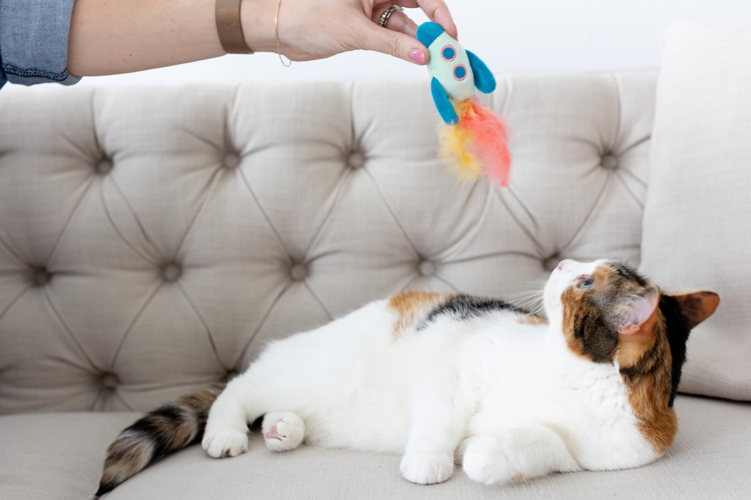 Pawstronaut Cat Toy Set with Feather Teaser & Rattle - Fun Playtime for Cats