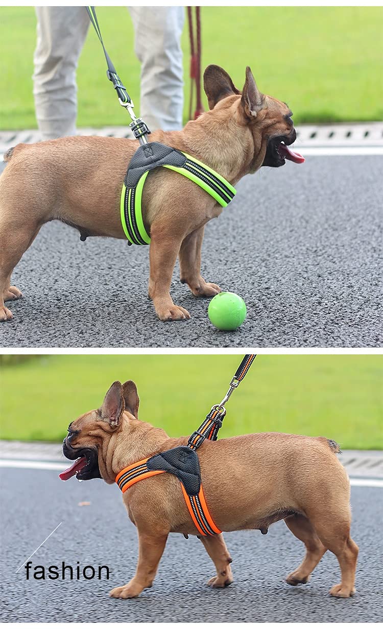 **Breathable Nylon Mesh Reflective Dog Harness & Leash Set - Adjustable Pet Collar for Small Medium Large Dogs - Perfect for Walking, Running, Hiking & Night Safety (Black)**