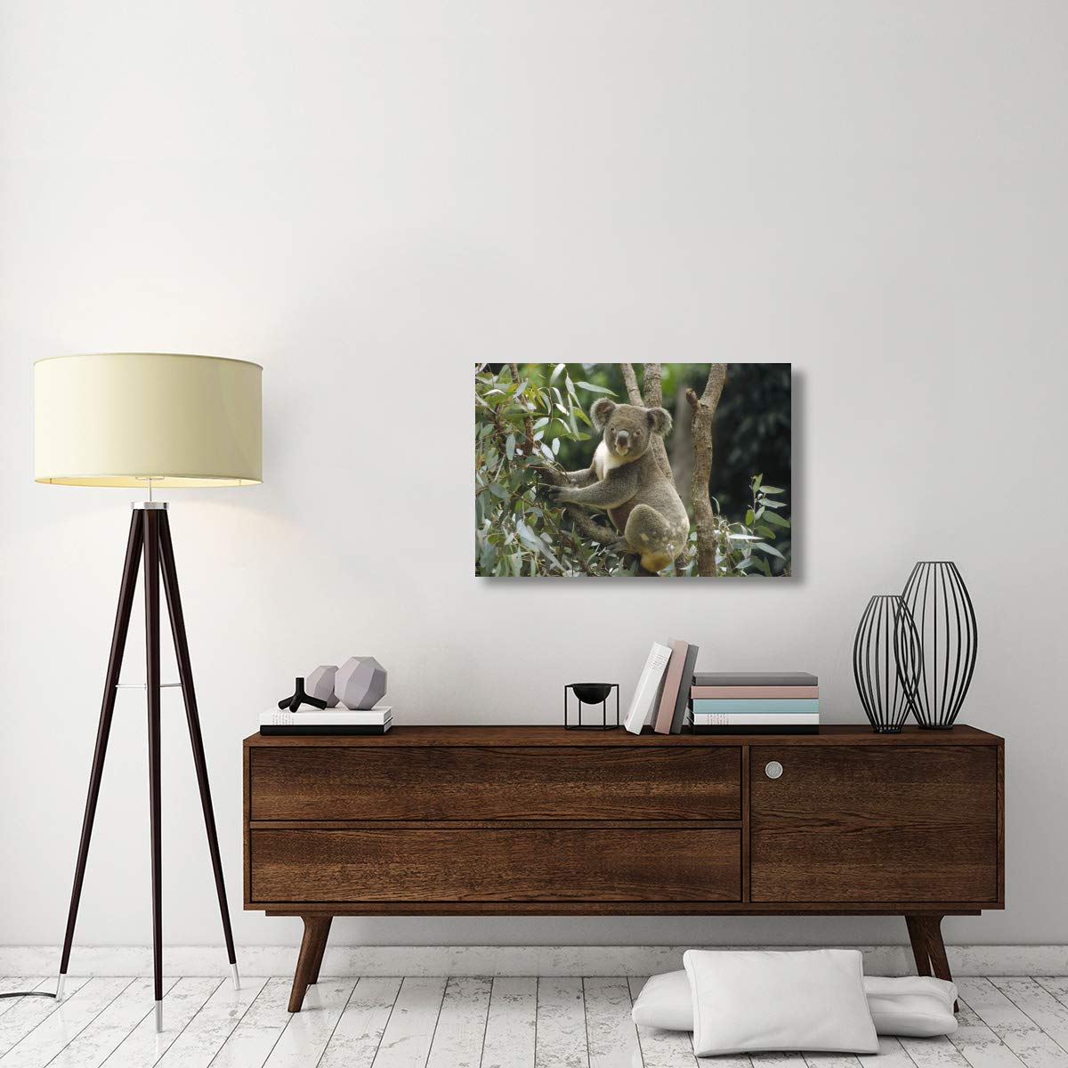 Global Gallery Koala Male in Eucalyptus Tree Canvas Art Print - Eastern Australia Forest Wildlife Wall Decor - 36x24 Inches - Perfect for Living Room, Bedroom or Office