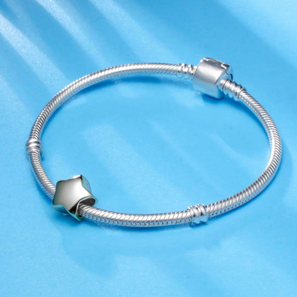 925 Sterling Silver Heart & Star Charms - Compatible with Pandora Style Bracelets, Necklaces & European Snake Chains | Romantic Dangle Pendants for Jewelry Making | Perfect Birthday & Anniversary Gifts for Her | Great for DIY Crafts, Valentine's Day & Special Occasions