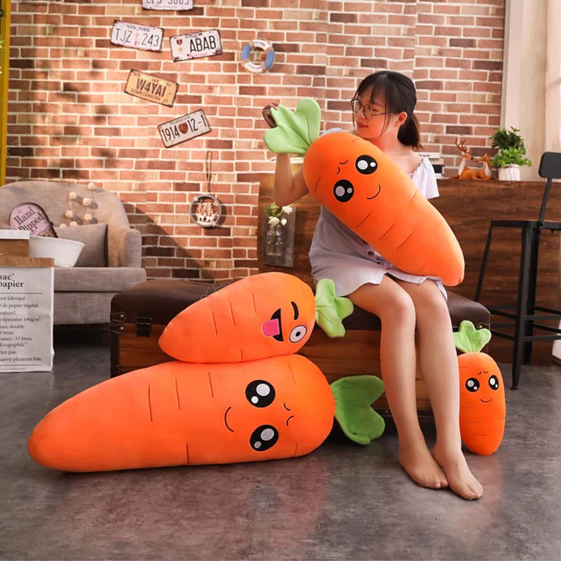 Giant Carrot Plush Pillow - 25.6 Inch (65cm) Kawaii Body Pillow for Kids & Adults - Soft Stuffed Animal Pillow for Bed, Couch & Nursery - Perfect Mother's Day Gift, Birthday Present & Friend Gift (Heart Shape)
