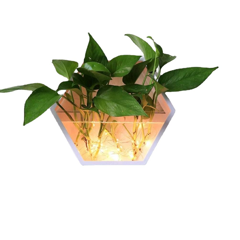 SSZ Creative Wall Hanging Hydroponic Plant Pots with LED Lights - White Small Indoor Garden Decor for Living Room, Bedroom, Office - Perfect for Home Decor, Vertical Gardening & Urban Farming