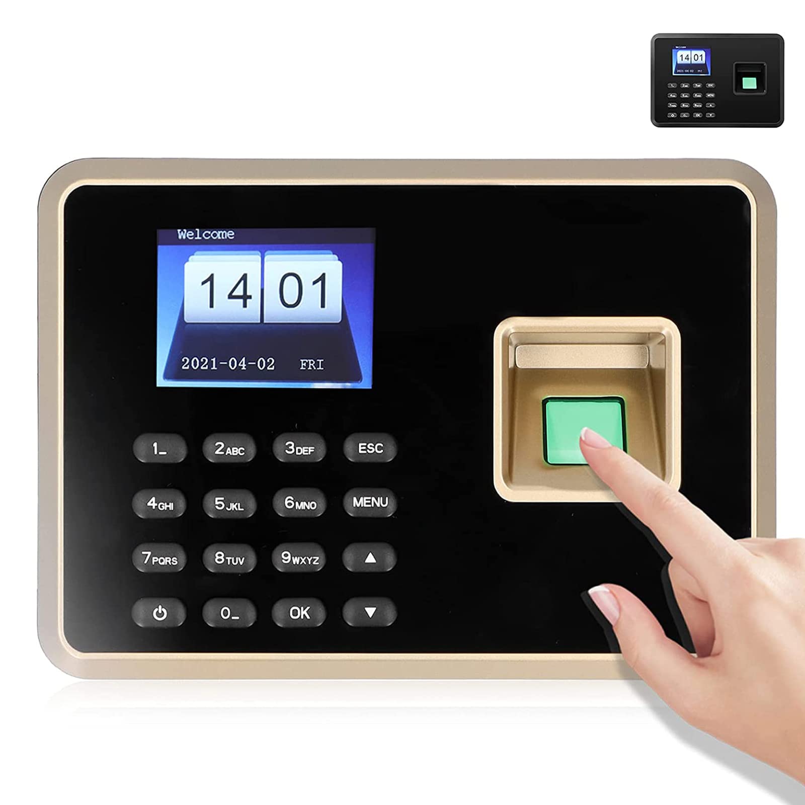 Biometric Fingerprint Time Clock for Employees - 2.4in Attendance Machine with Password Protection & Automatic Report Generation | USB Download Office Punch Clock for Small Businesses | Perfect for Retail Stores, Restaurants, and Workplaces
