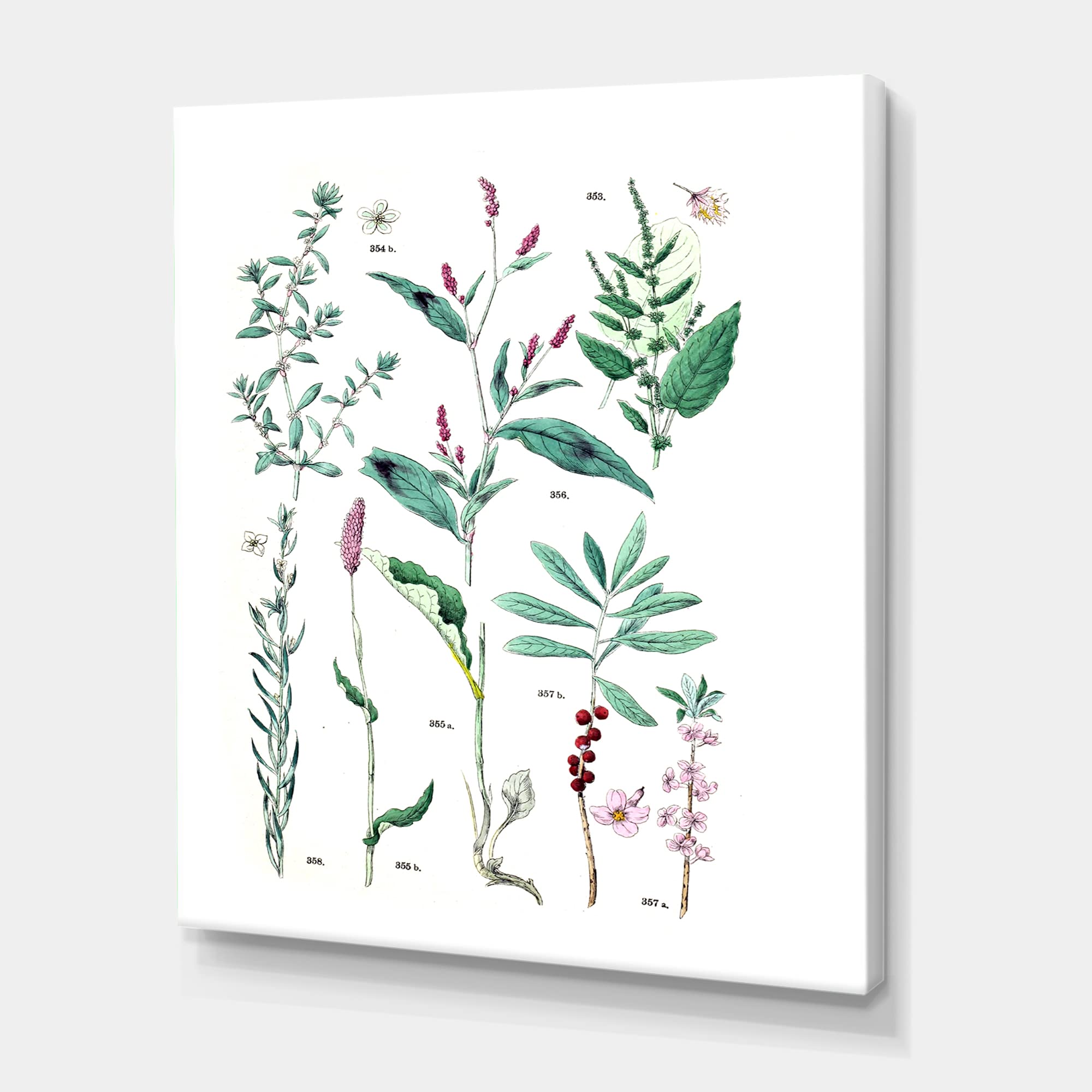Vintage Botanical Canvas Wall Art - Traditional Plant Prints for Home & Office Decor | Perfect for Living Room, Bedroom & Study