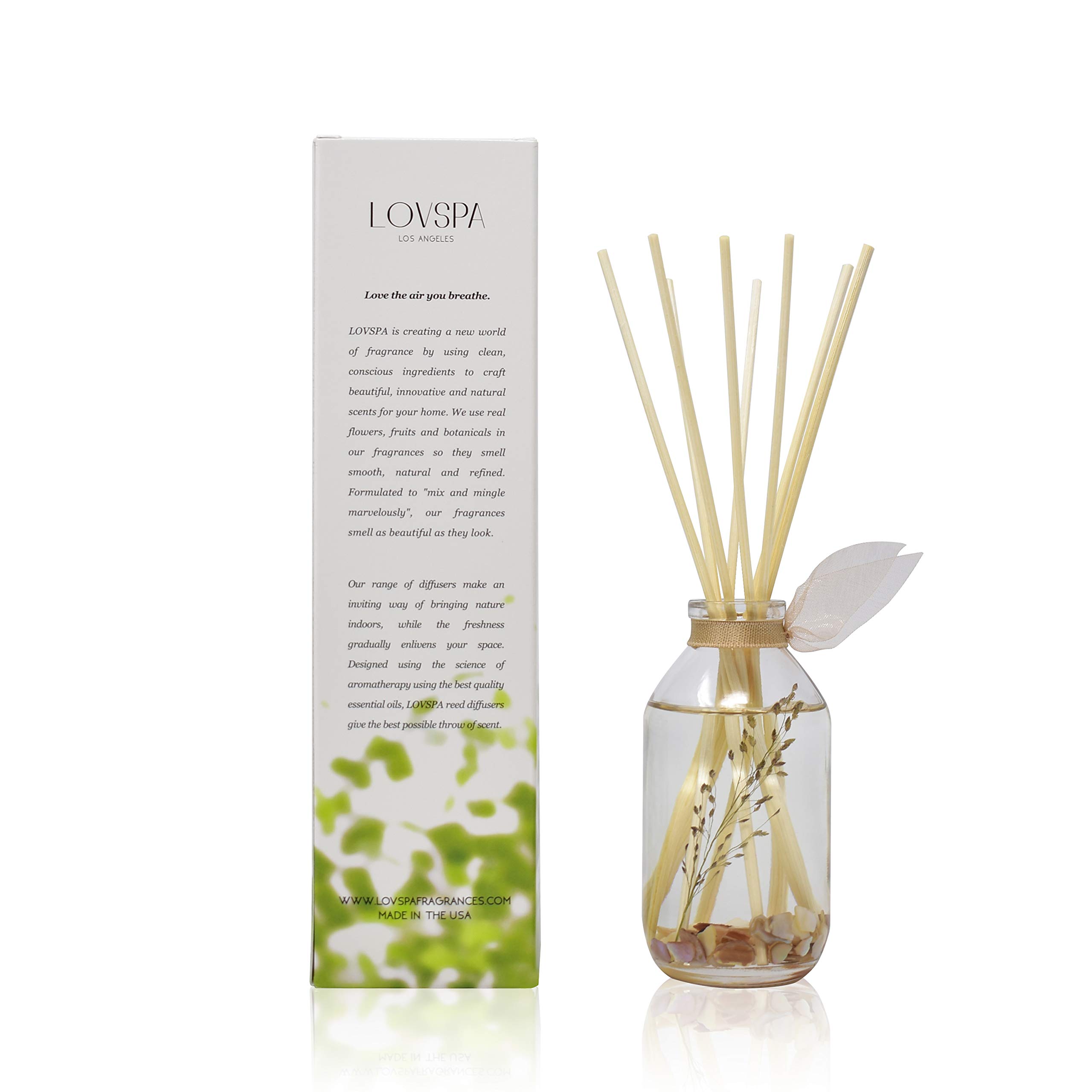 LOVSPA Beachwood Vetiver Reed Diffuser Set - Natural Essential Oil Aromatherapy Diffuser - Non-Toxic Home Fragrance - Made in USA - Perfect for Living Room, Bedroom & Office Relaxation