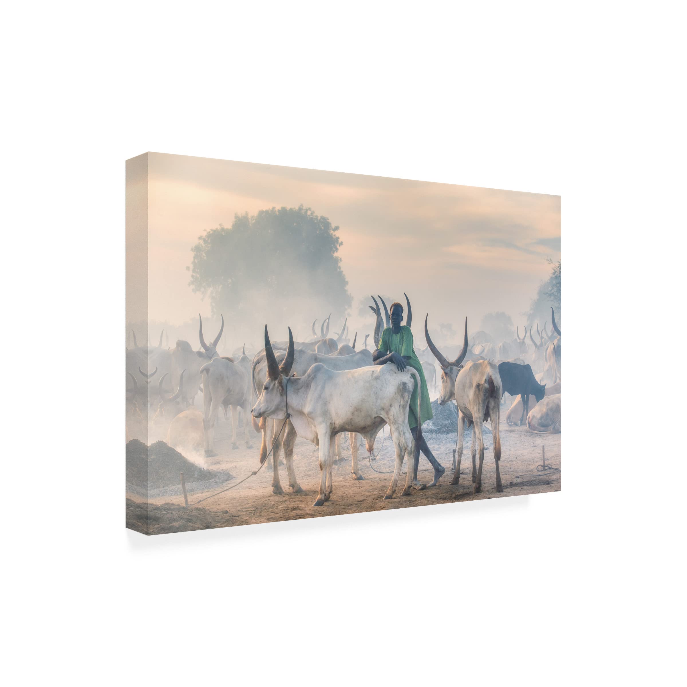 Trademark Fine Art 'Dinka Herder' Canvas Wall Art by Trevor Cole - African Tribal Decor for Living Room, Bedroom & Office