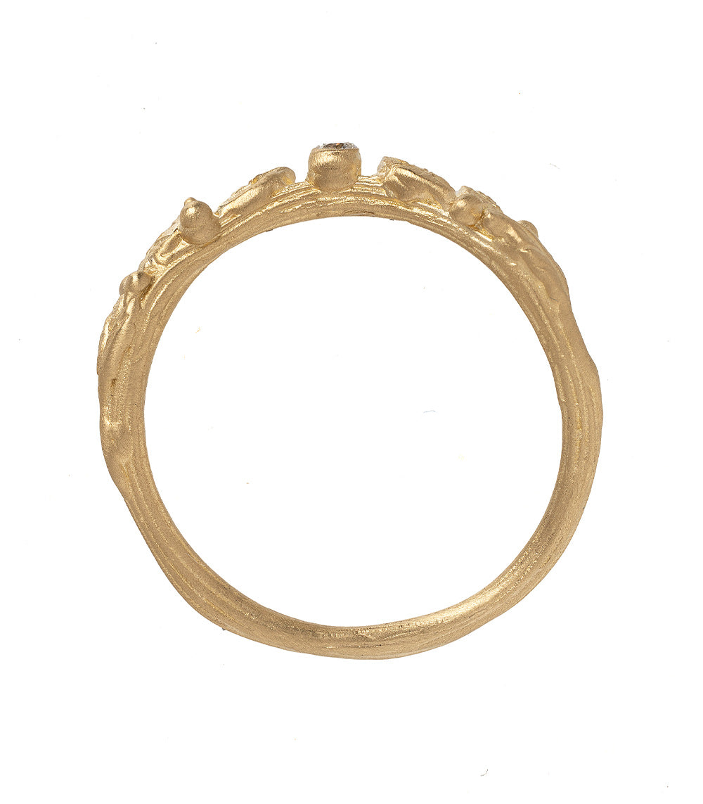 Twig Nesting Band - Natural Wooden Bird Nesting Material for Wild Birds - Perfect for Birdhouses, Gardens, and DIY Bird Nesting Projects