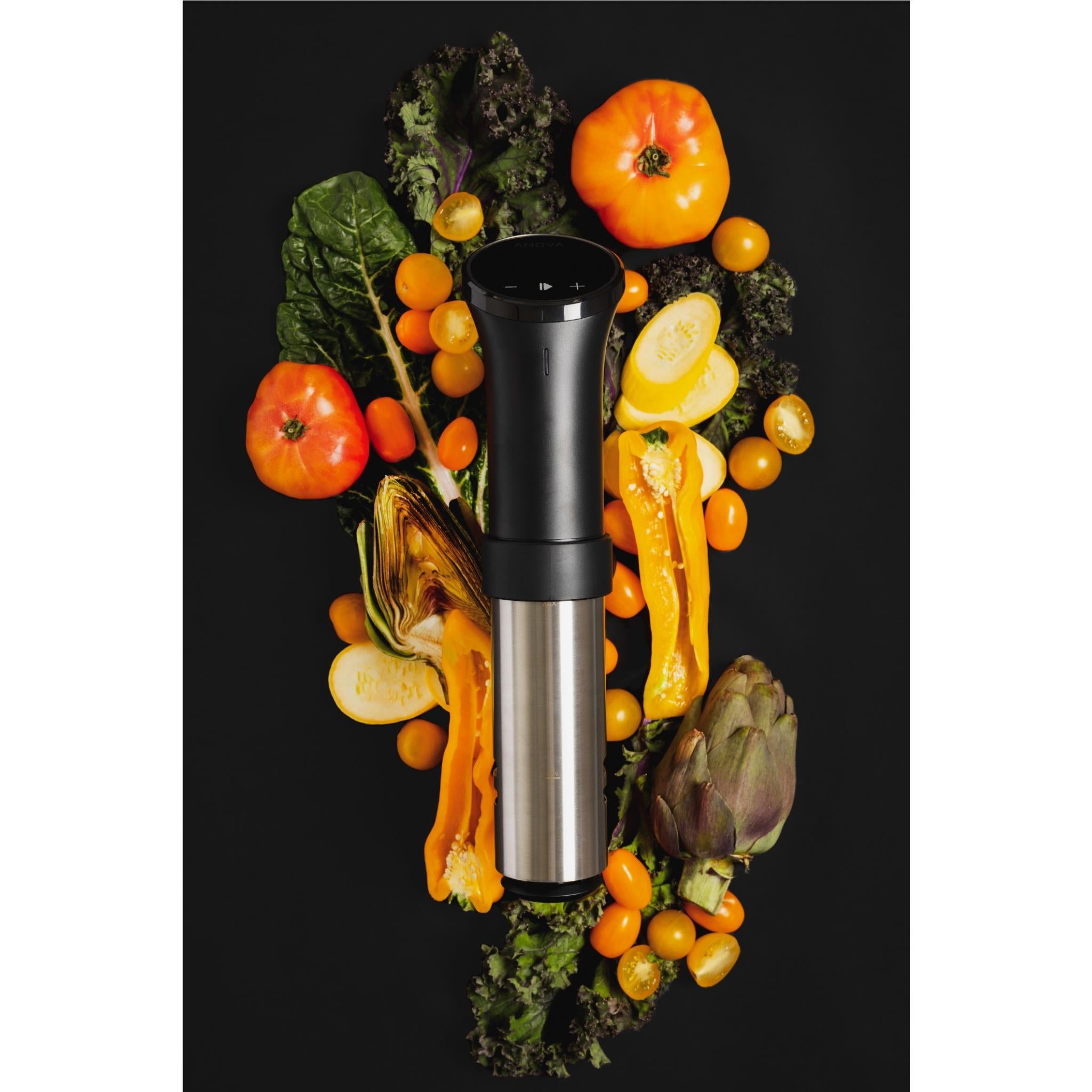Anova Precision Cooker 3.0 Sous Vide Immersion Circulator - Professional Water Bath Cooking for Steak, Chicken, Fish & Vegetables | Perfect for Home Chefs & Restaurant Quality Meals