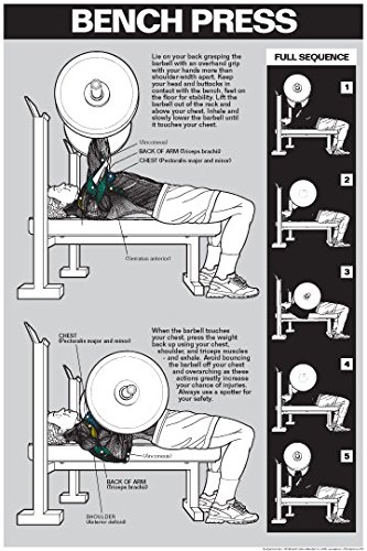 Bench Press Laminated Workout Chart - Strength Training Guide for Home & Gym Fitness Routines | Perfect for Weightlifting, Bodybuilding & CrossFit Workouts