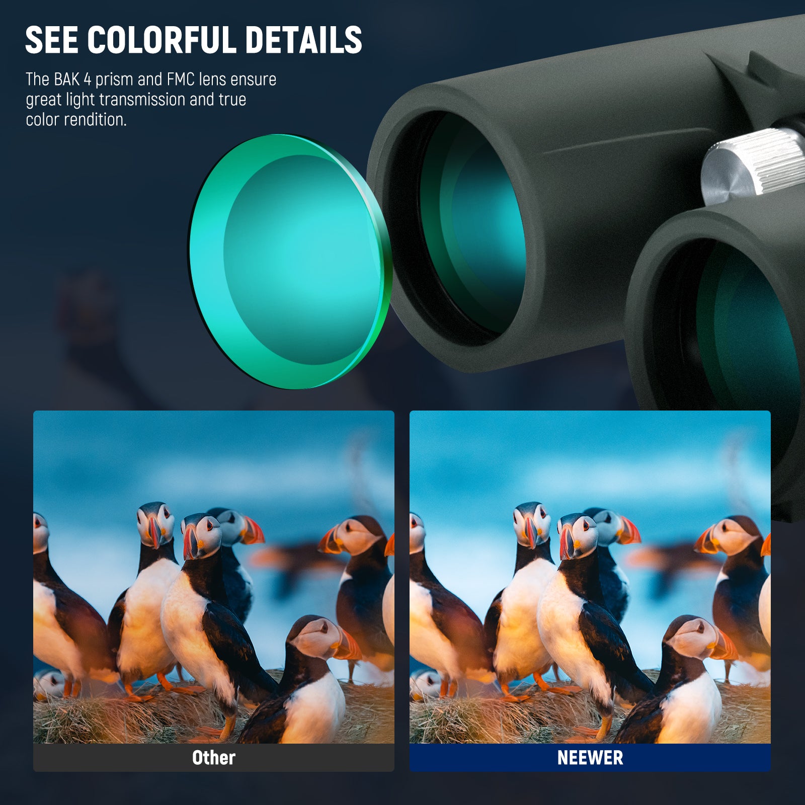 NEEWER LS T21 10X42 ED Binoculars for Adults - High Power Waterproof Binoculars for Bird Watching, Hunting, Hiking, Travel & Outdoor Activities