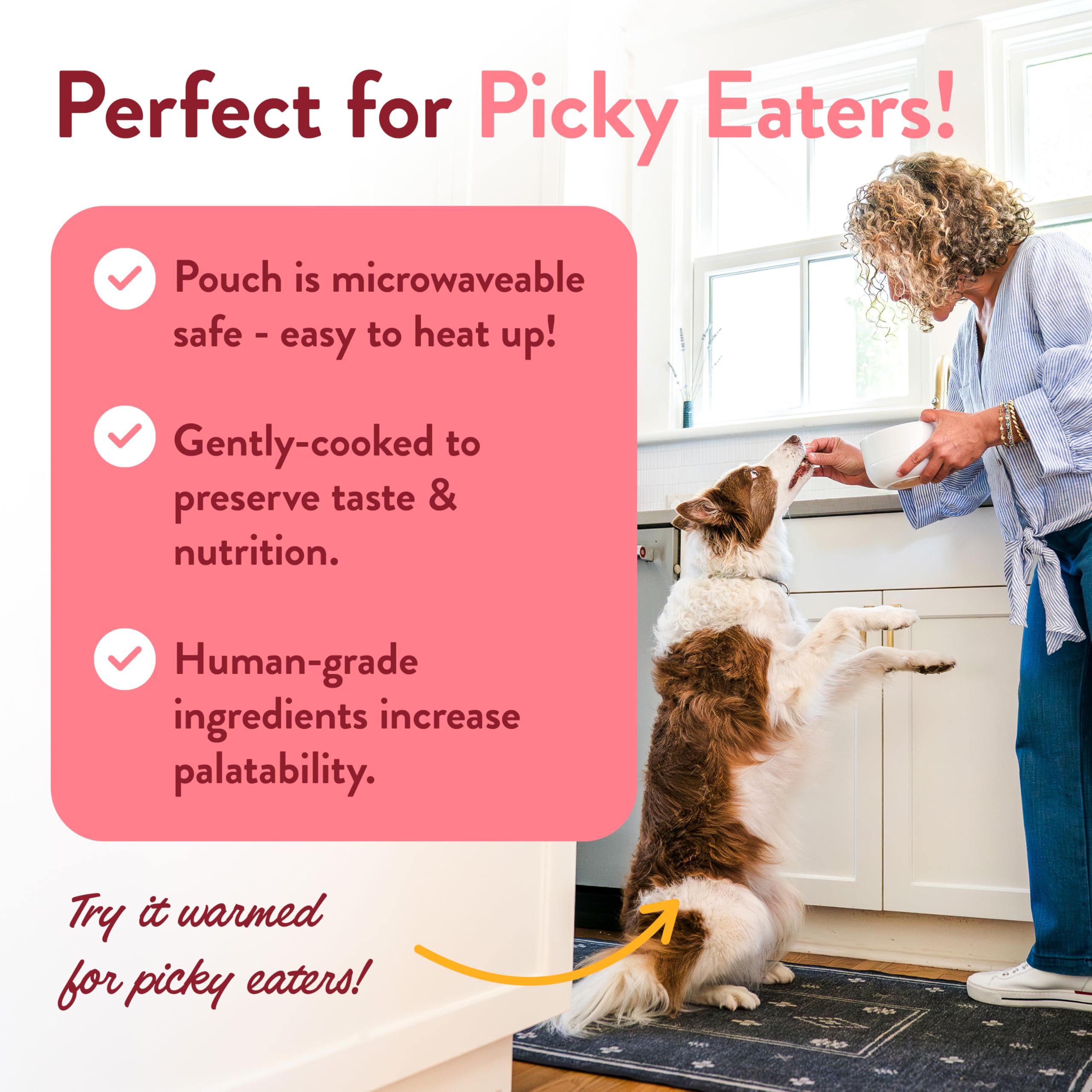 Premium Human-Grade Wally's Salmon & Rice Wet Dog Food Pouches - Grain-Free Dog Food Topper, Mixer & Complete Meal - Made in USA - 5-Pack - Perfect for Picky Eaters & Senior Dogs' Nutrition Needs