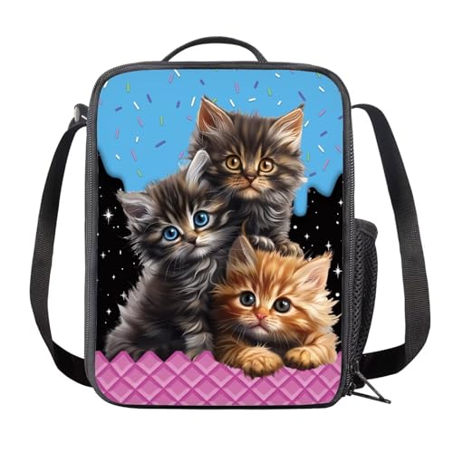 Cartoon Cats