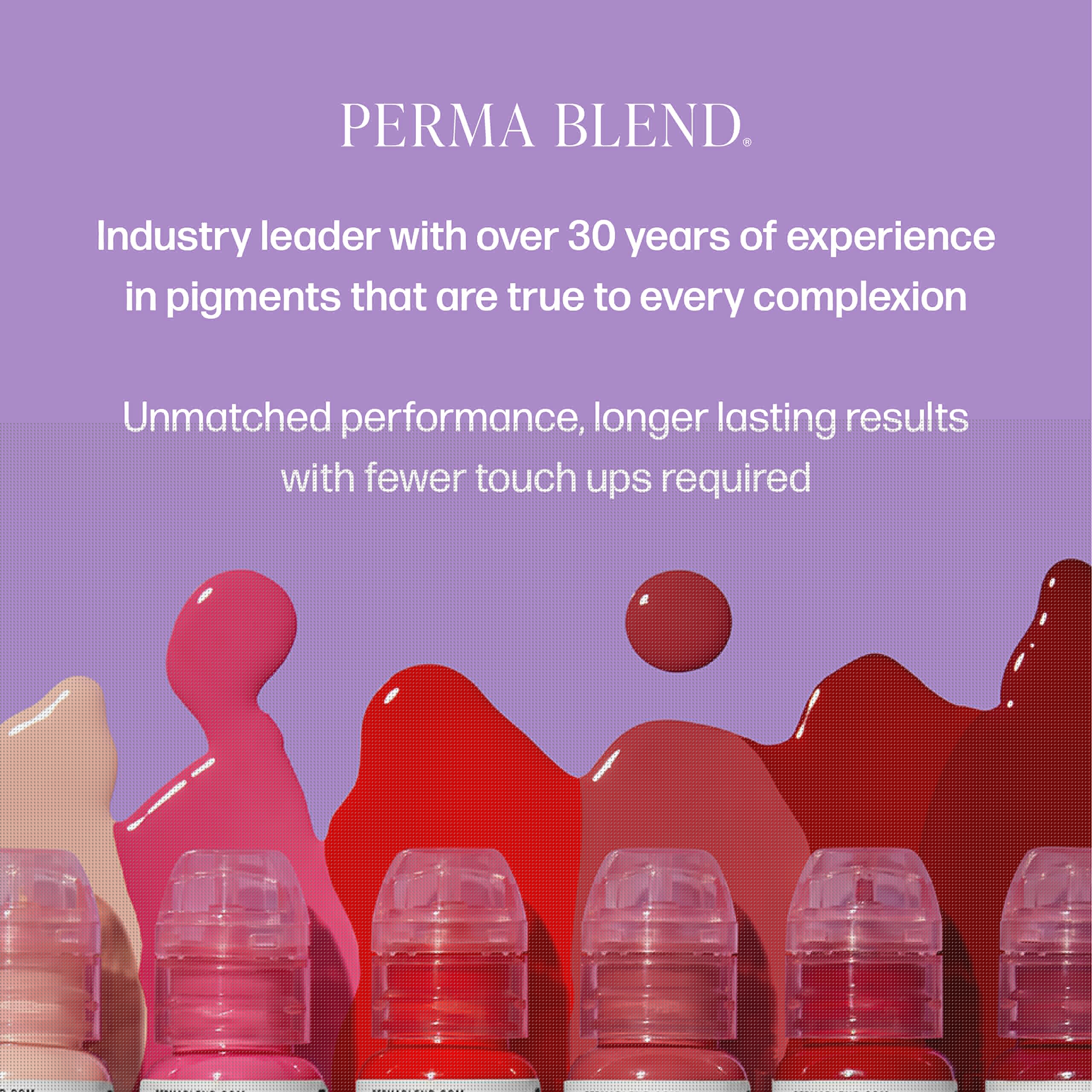 Perma Blend Ash Grey Microblading & Permanent Eyeliner Tattoo Ink - Professional Vegan Tattoo Makeup (0.5 oz) - Perfect for Eyebrow Microblading, Eyeliner Tattoos & Permanent Cosmetic Procedures