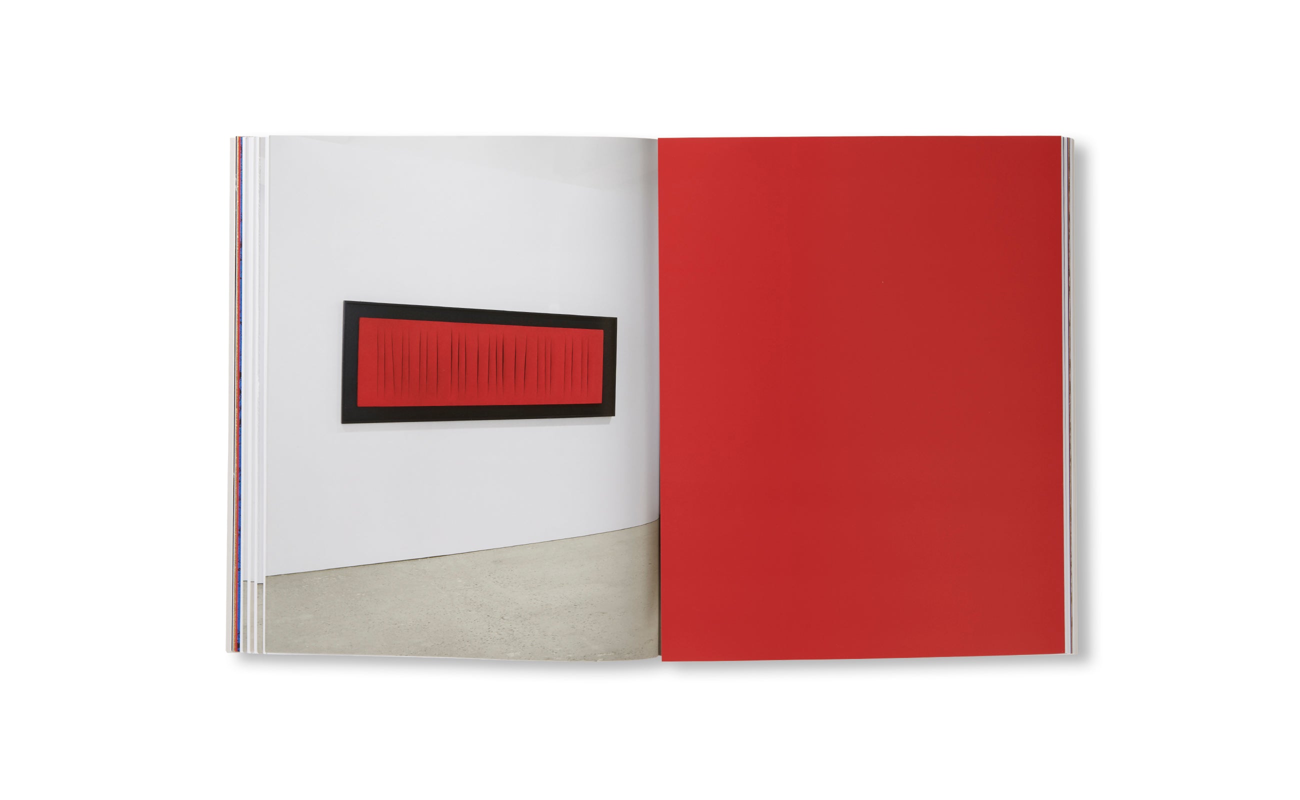 Monochrome Art Book: Dialogue Between Burri, Fontana, Klein, Manzoni & Stingel | Modern Abstract Art Collection | Perfect for Art Lovers, Collectors & Home Decor
