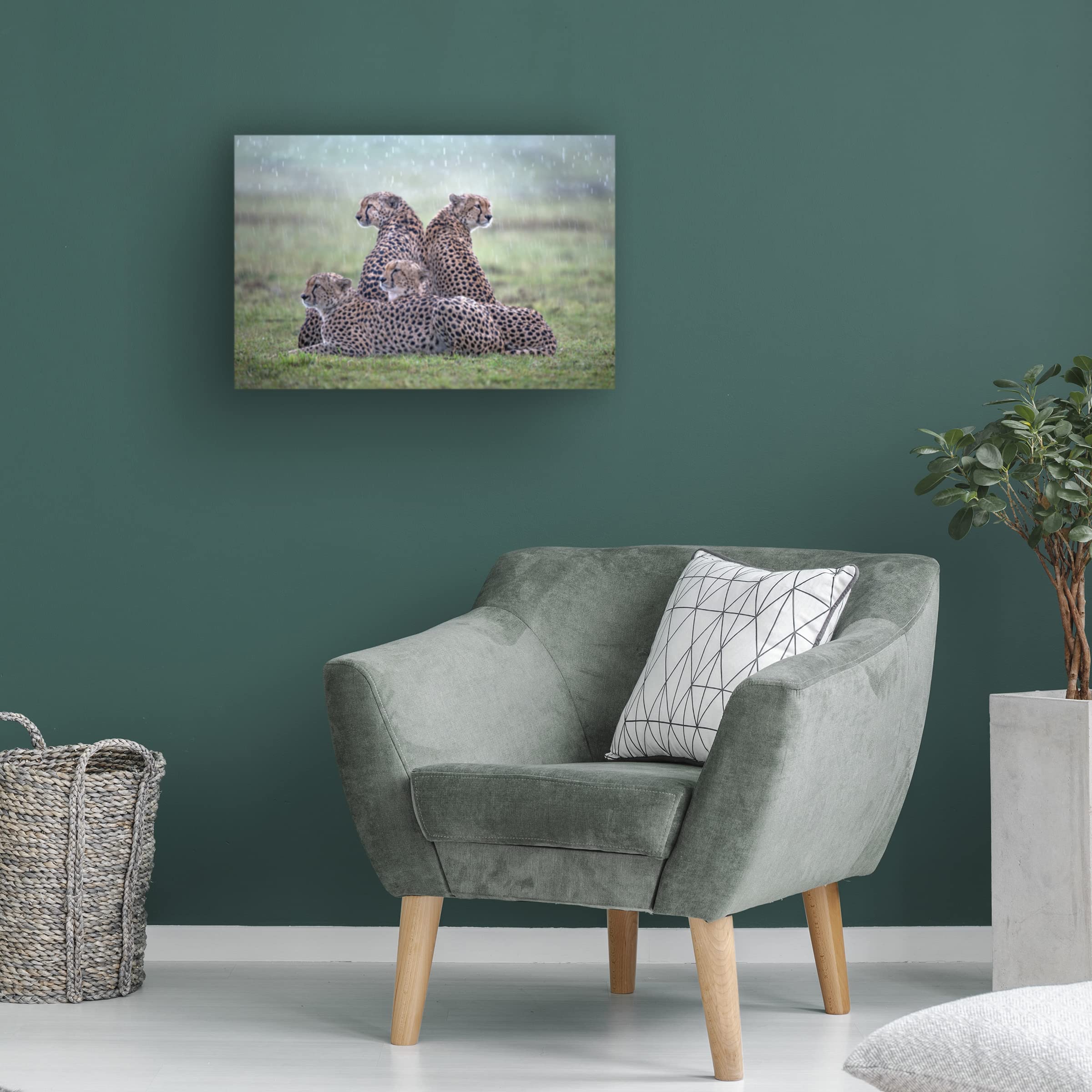 Trademark Fine Art 'Cheetahs In The Rain' Canvas Wall Art by Xavier Ortega - Stunning Wildlife Painting for Living Room, Bedroom & Office Decor