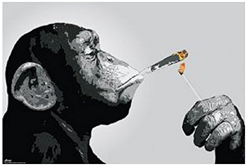 Lawrence Painting Steez Monkey Smoking A Joint - Urban Graffiti Art Poster Print (50x75cm) - Perfect for Music Studios, Teen Bedrooms & Street Art Decor
