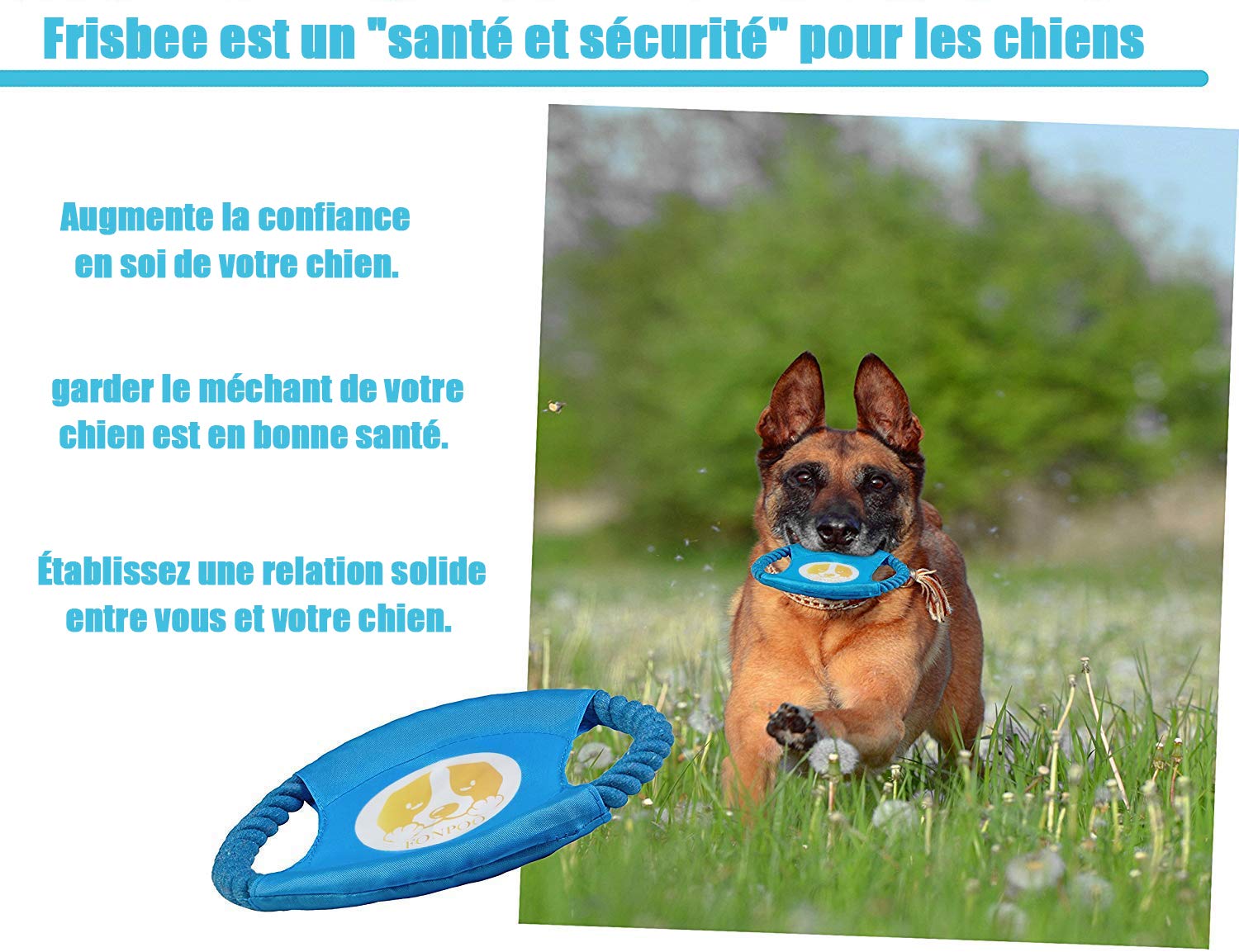 **FONPOO Durable Dog Chew Toys for Small & Medium Dogs - 10-Piece Rope Toy Set for Anxiety Relief & Boredom Prevention - Perfect for Training, Playtime & Birthday Gifts (Blue)**    *Use Cases: Great for interactive play, teething puppies, indoor/outdoor fetch, and keeping dogs entertained during alone time.*