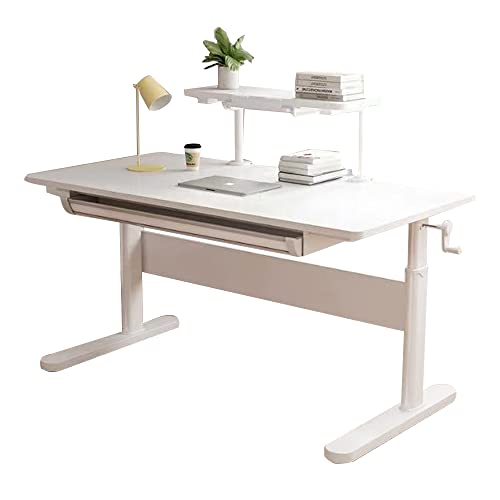 Desk+small Shelf