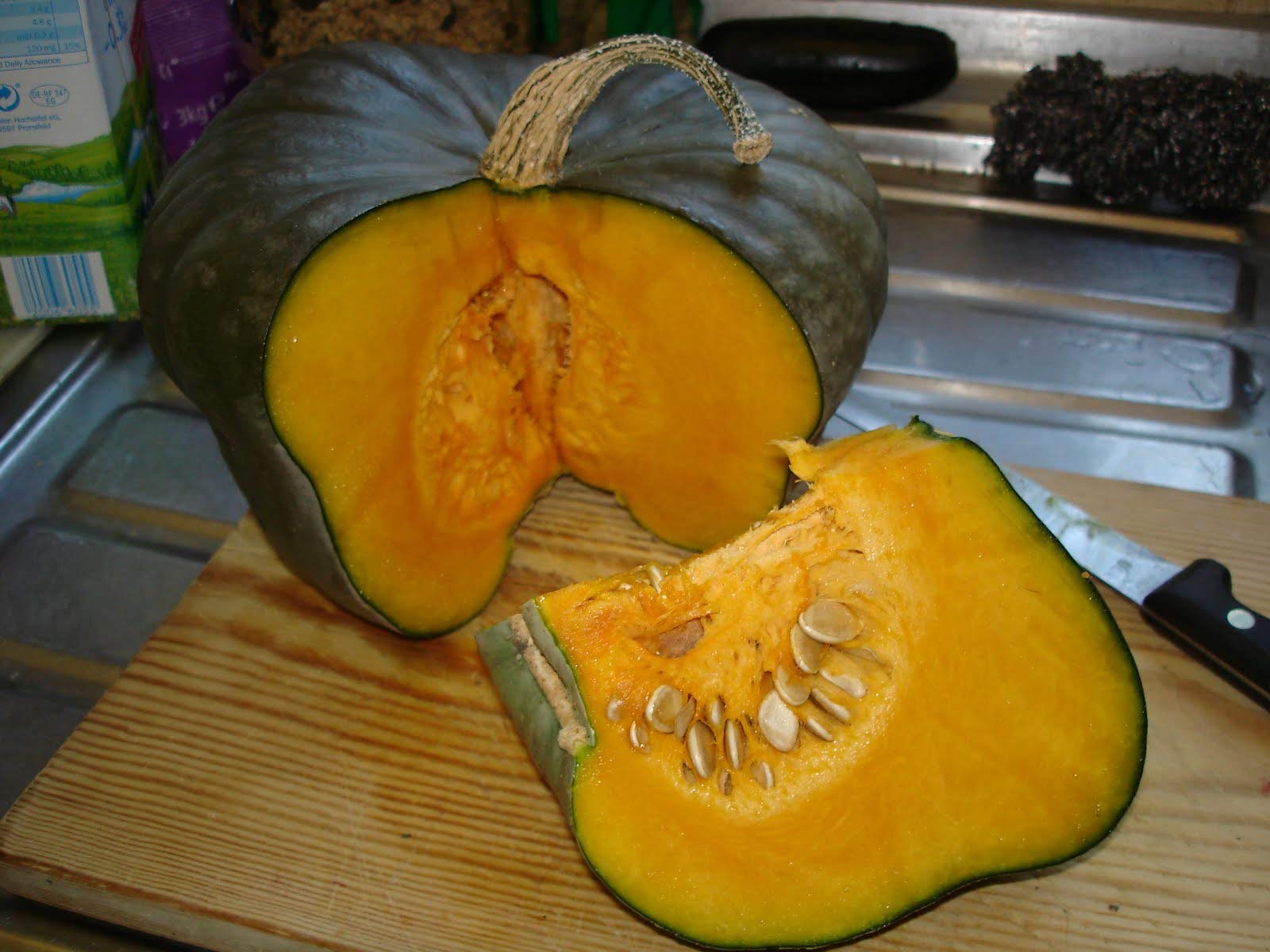 Blue Pumpkin Queensland Giant Seeds - Non-GMO Heirloom Vegetable for Halloween Decor & Rare Ornamental Gardening | Perfect for Fall Harvest, Holiday Displays & Unique Garden Landscapes