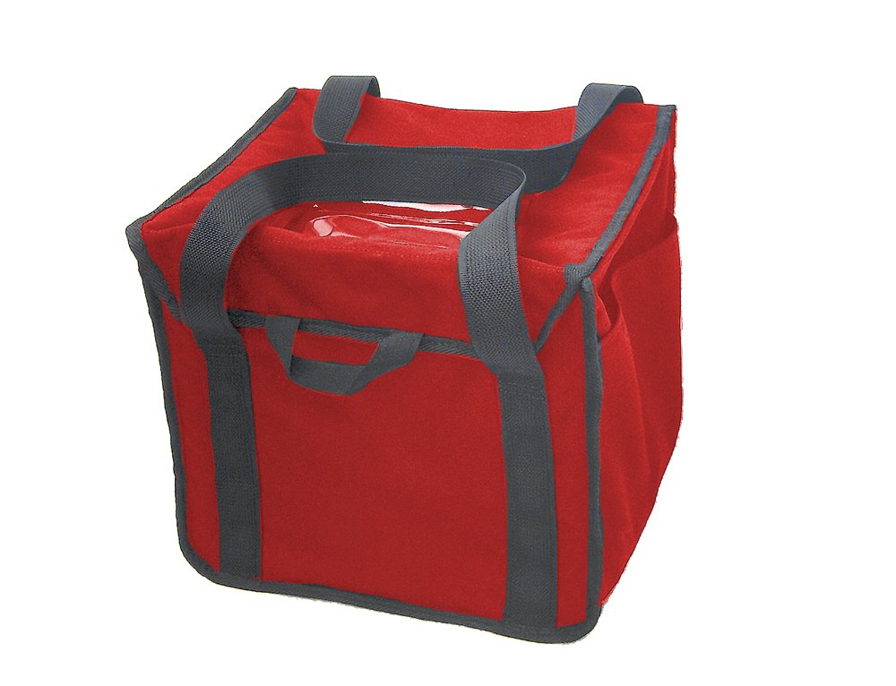 Portable Electric Heated Lunch Box - Mini Cube Insulated Food Delivery Bag for Hot Meals (Red) | Perfect for Office, School, Travel & Food Delivery Services