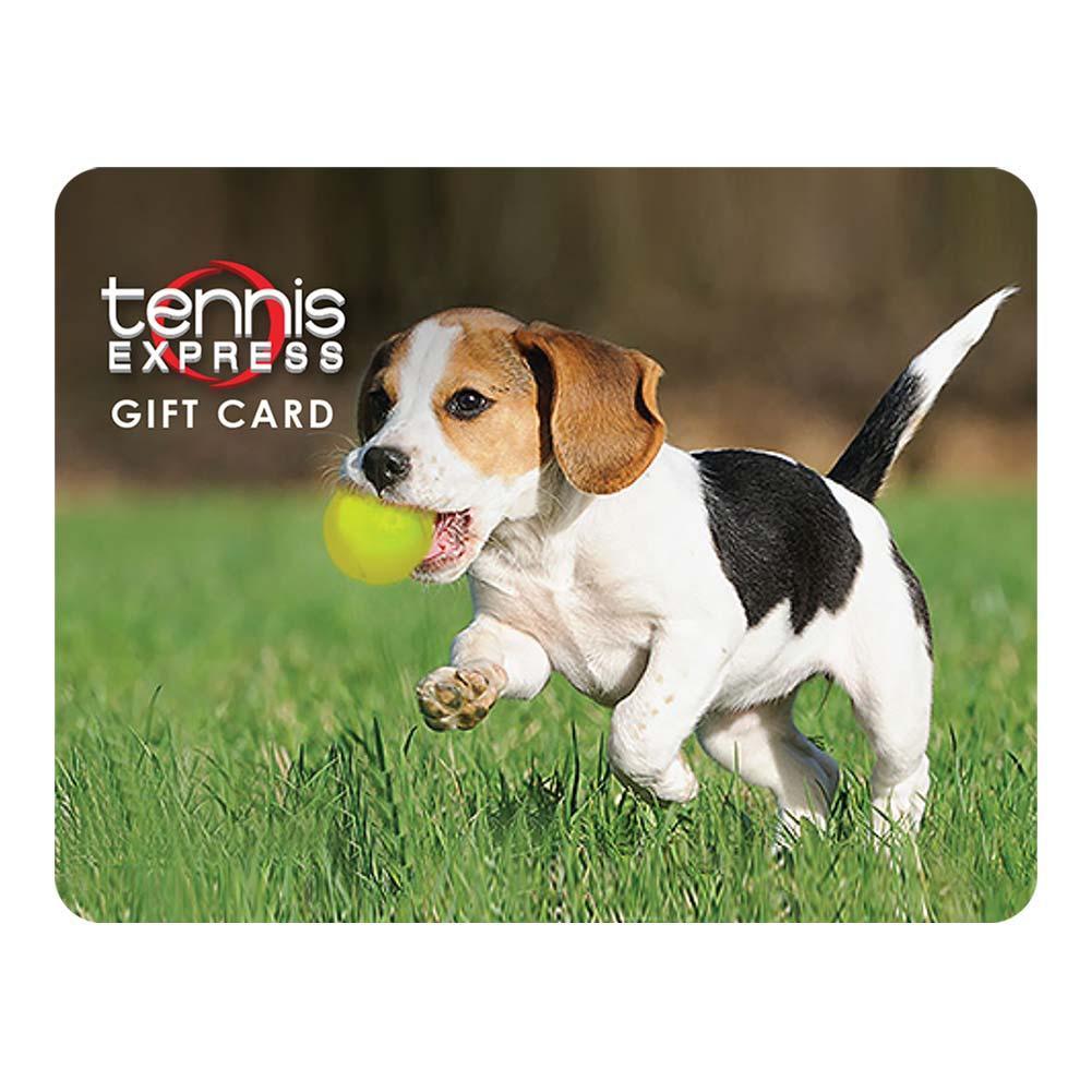 Funny No Show Dog Gift Cards - Perfect for Pet Lovers & Humor Gifts (Set of 5) - Great for Birthdays, Holidays & Special Occasions