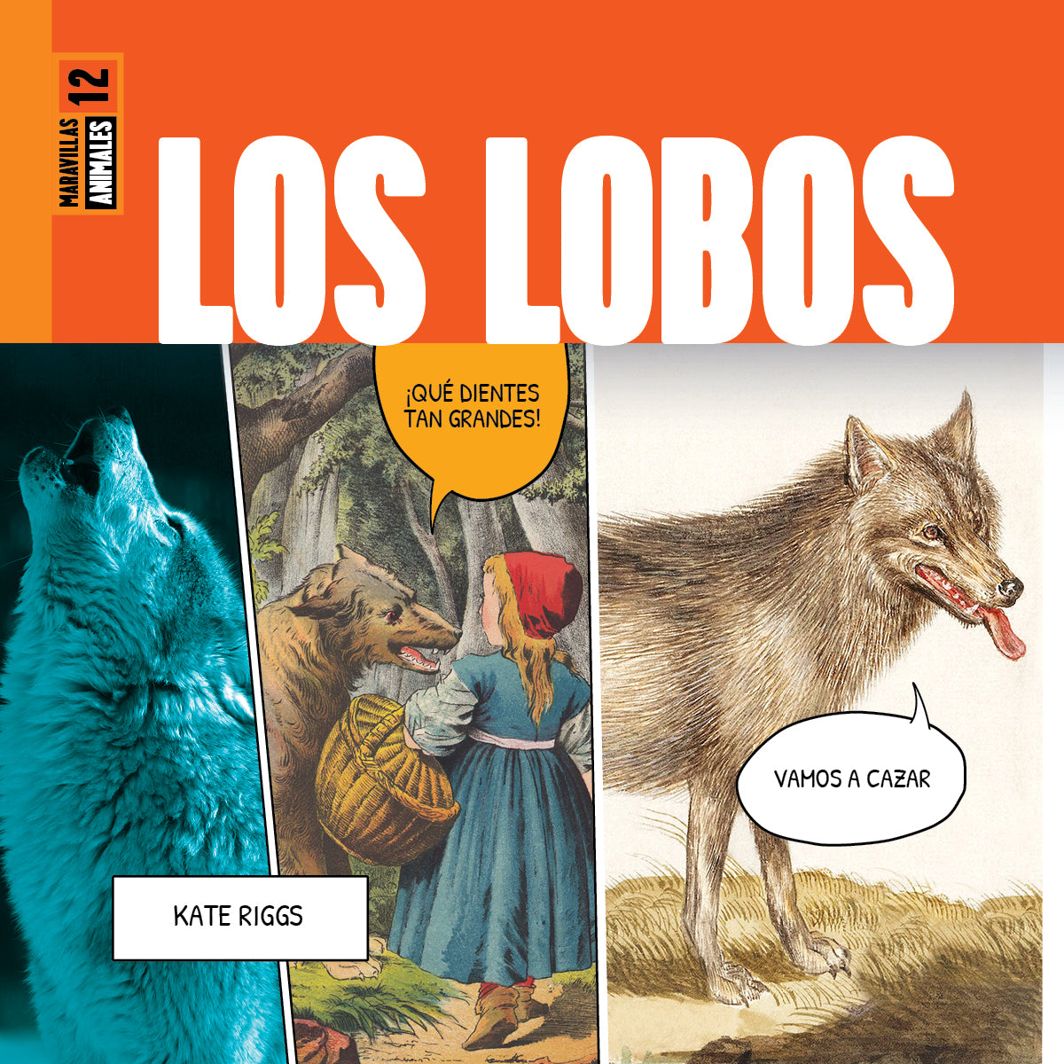 Los Lobos 9798889891055 - Premium Quality Product for Online Shopping | Perfect for Gifts, Home & Office Use