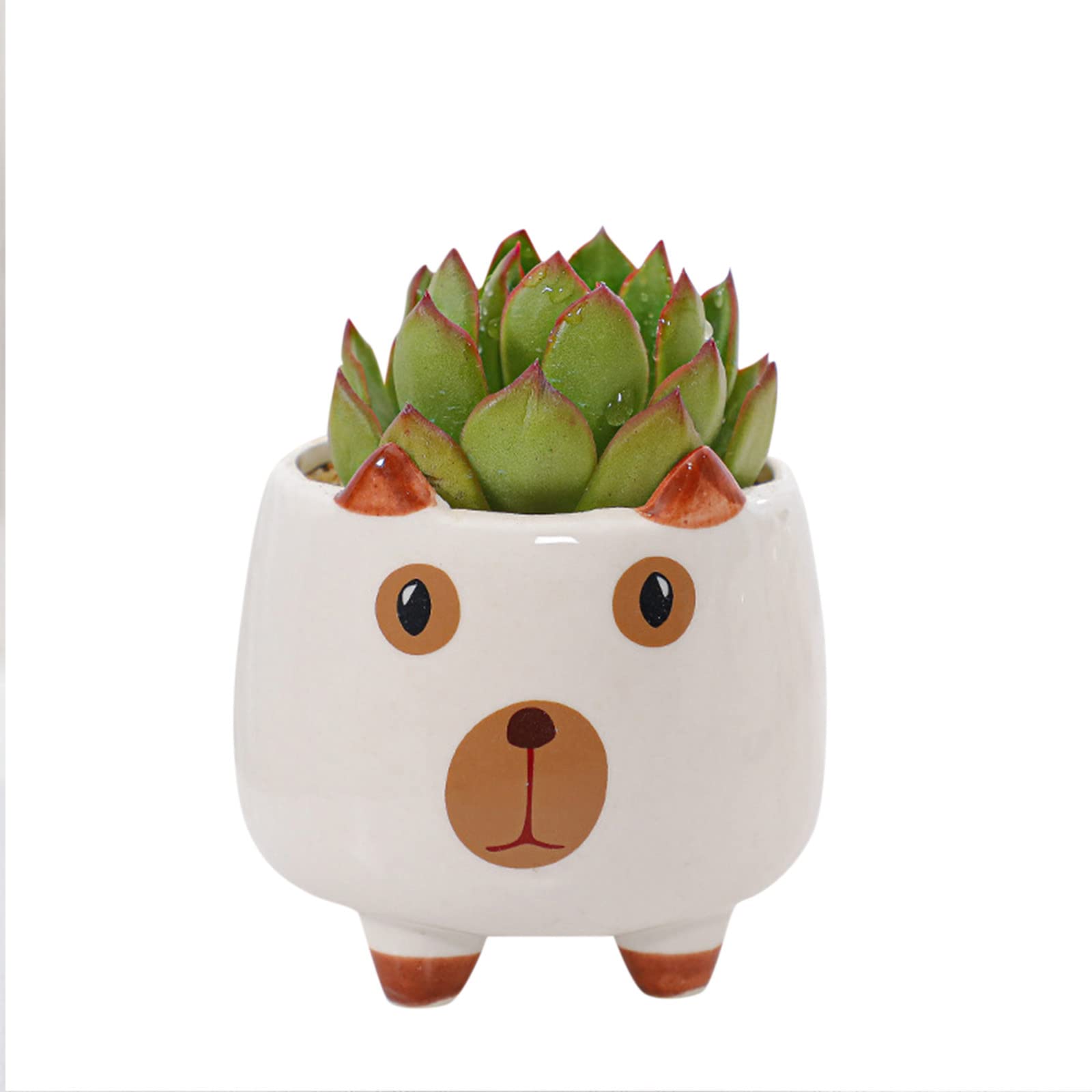 5-Pack Ceramic Succulent Pots with Drainage Trays - Cute Animal-Shaped Bonsai Planters for Indoor Cactus, Herb & Small Plants | Perfect for Home Decor, Office Desk & Gift Giving