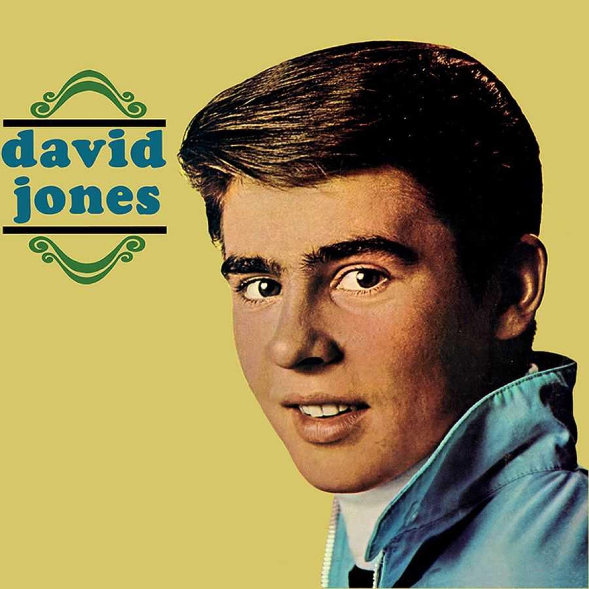 David Jones | Premium Fashion & Accessories for Men & Women | Perfect for Work, Travel & Special Occasions