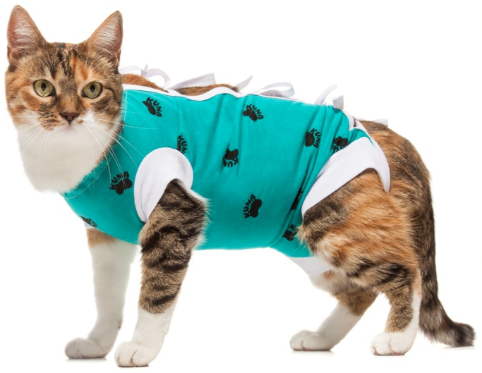 VetMedWear Recovery Gown for Cats, Dogs & Rabbits - Soft Post-Surgery Protective Suit | Comfortable E Collar Alternative for Wound Healing, Spay/Neuter Recovery & Pet Care at Home