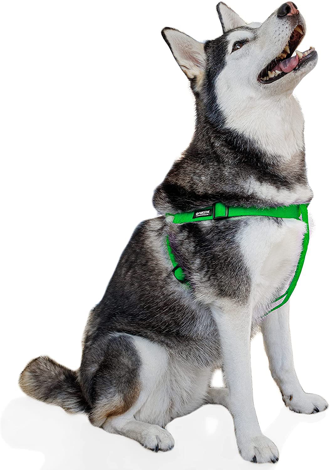 Pawsitive Hemp Dog Harness - Step-in Design, Soft Hypoallergenic Pet Vest for Small Medium Large Dogs - Eco-Friendly Large Green - Perfect for Walking, Hiking & Outdoor Adventures