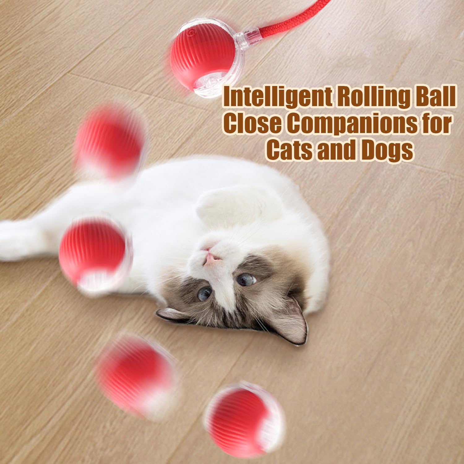 2PC Interactive Electric Dog & Cat Toys - 360° Automatic Smart Rolling Ball, Durable Rechargeable Pet Toy for Indoor Play (Red) - Perfect for Boredom Relief & Exercise