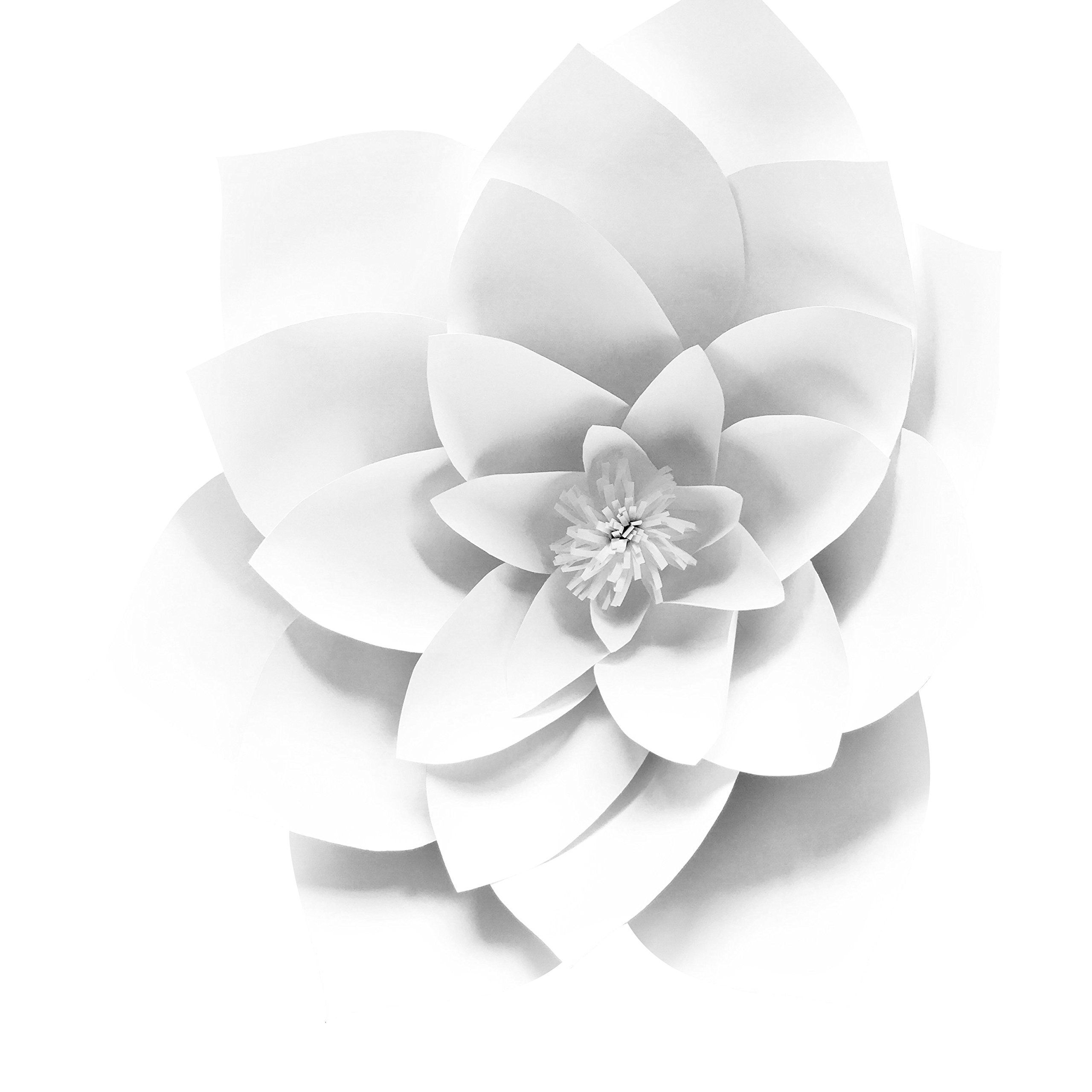 Little Miss Fairytale Daisy & Gardenia Paper Flower Kit Template - DIY Wall Decor, Backdrop Flowers with Leaves for Weddings, Baby Showers & Home Decoration