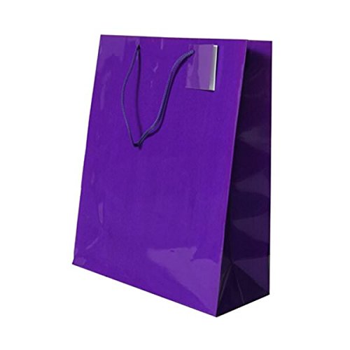 JAM Paper Glossy Purple Gift Bags with Rope Handles - 10