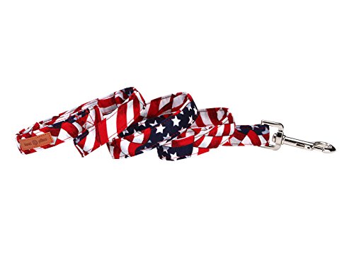 American flag