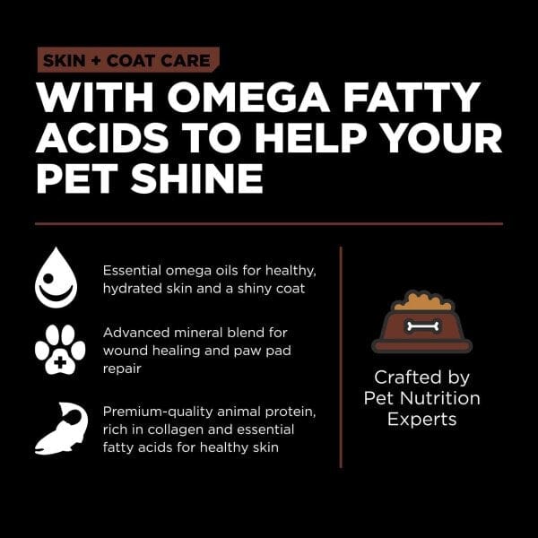 Premium Large Breed Puppy Food - Go! Solutions Skin & Coat Care Salmon & Grains Recipe | Supports Healthy Growth & Shiny Coat for Labrador, German Shepherd & Big Dogs | Ideal for Active Puppies & Sensitive Skin Care