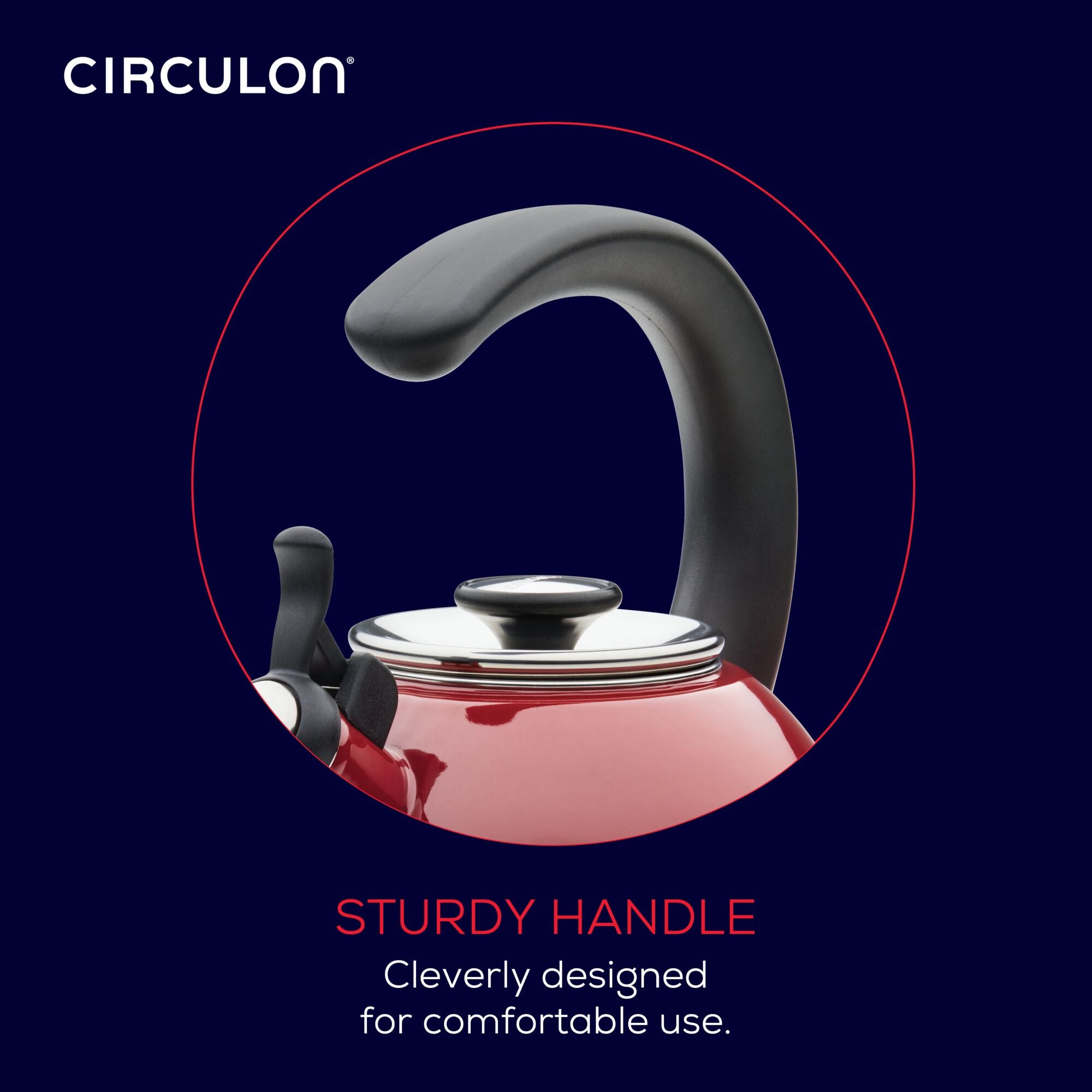 2 Quart Stainless Steel Whistling Tea Kettle with Flip-Up Spout - Perfect for Stovetop Brewing, Camping & Home Kitchen Use