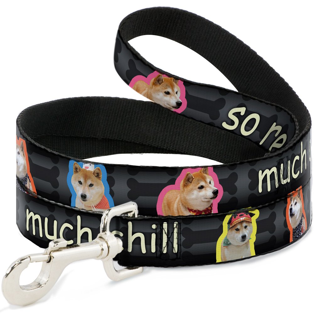 Buckle-Down Dog Leash - 6FT Long 1
